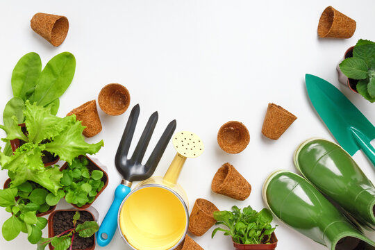 The concept of gardening and spring work. Tools and plants flowers in pots on the table.