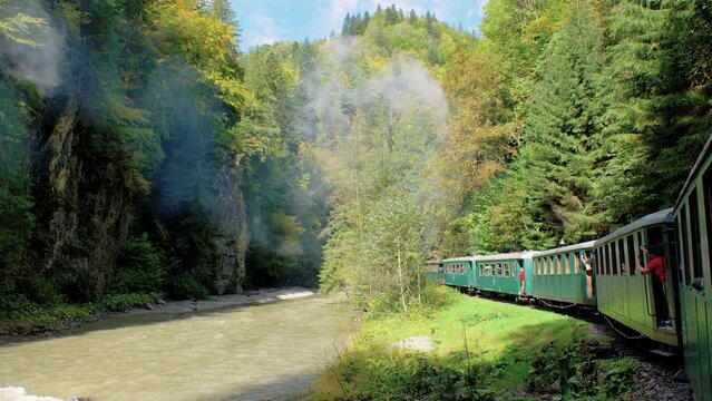 Steam Train Viseu De Sus, Romania-Mocanita