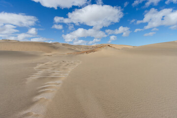Fototapeta na wymiar stunning dunes in the restricted area of southern Namibia