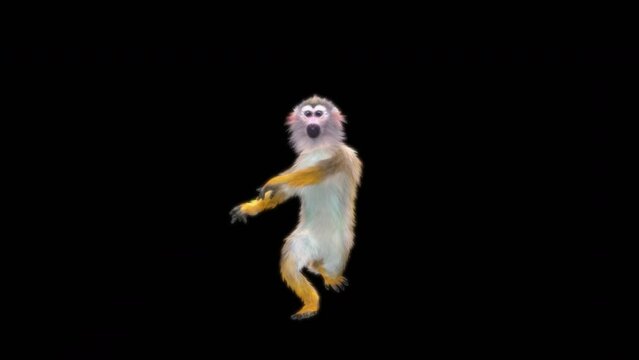 White-headed Capuchin, black monkey, monkeys Dance CG fur 3d rendering animal realistic CGI VFX Animation Loop  composition 3d mapping cartoon, Included in the end of the clip with Alpha matte.