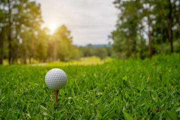 Golf ball is on tee at green lawn in a beautiful golf course with morning sunshine.