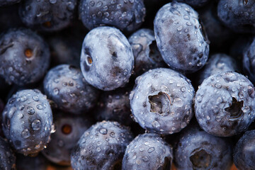 Close-up of fresh blueberries with water droplets	