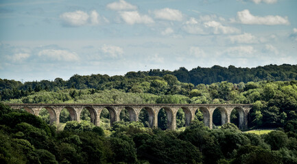 bridge over the river