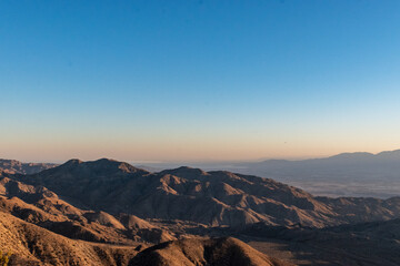 Cholla Cactus Garden Sunrise, Joshua Tree National Park, Joshua Tree, California