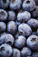 blueberries close up
