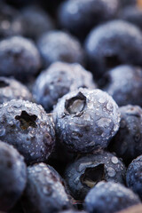 Close-up of fresh blueberries with water droplets	