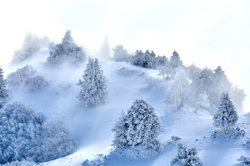 Fototapeta na wymiar Märchenhafte Winterlandschaft in den Schweizer Alpen