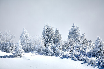 Romantische Winterlandschaft in den Alpen
