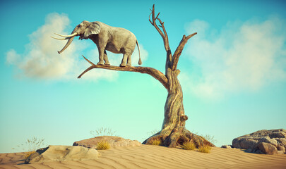 Elephant stands on thin branch of withered tree in surreal landscape. - 564342671