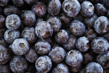 blueberries on a plate