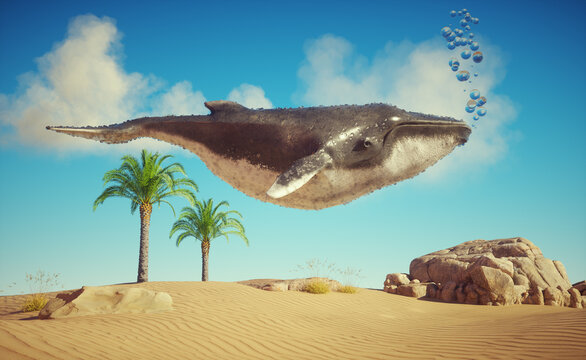 Whale floating in the desert. Global warming and resilience concept.