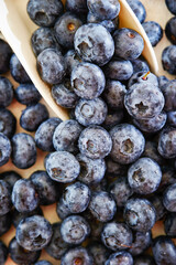 fresh blueberries in a bowl