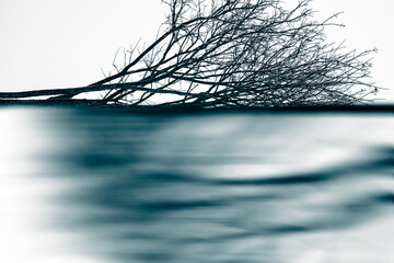 Silhouettes of a dark gloomy forest with textured trees on a white background with turquose ink effect and motion blur. The concept of dissolving dark-evil into white-good.