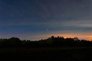 Fototapeta na wymiar Summer night blue sky with stars above dark trees