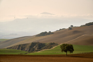 Plowed fields in Tuscany, Italy. Autumn in October.   