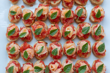 Cheese bruschetta with basil. toast with cheese, tomato and basil