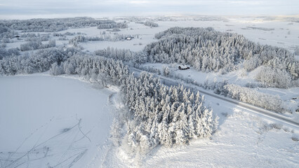 Beautiful aerial view of snow covered pine forests and a road among trees