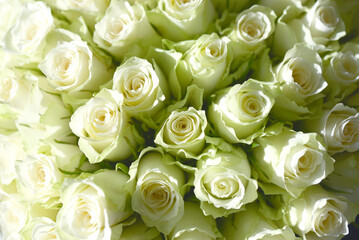 Bouquet de roses blanches en intérieur de maison