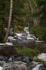 stream in the forest with ice and snow