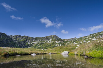 Widok z Doliny Pięciu Stawów na strumyk oraz panoramę gór