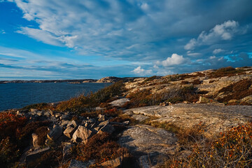 Rocky beach in the surroundings of Grebbestad, Sweden. Gorgeous sunset over the north sea. Rocks yellowed by the setting sun. Large boulders and sparse vegetation.