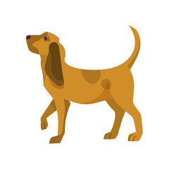 Brown dog wagging tail vector illustration. Cartoon animal character from Victorian city isolated on white background. History concept