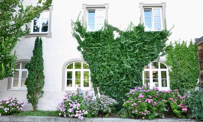 Fototapeta na wymiar Ivy covered entrance to white painted brick house with beautiful flower garden and wreath and arched windows
