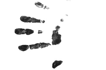 fingerprint hand palm texture png isolated 