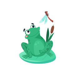 Comic frog looking at dragonfly vector illustration. Funny aquatic animal cartoon character sitting on lily leaf in swamp isolated on white background. Nature, wildlife concept