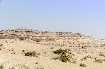 Fototapeta na wymiar Desert landscape with limestone hillocks in the background