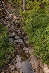 Small stream in the middle of the woods