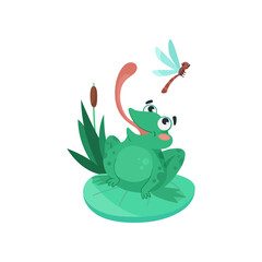 Comic frog sticking out tongue to catch dragonfly vector illustration. Funny aquatic animal cartoon character sitting on lily leaf in swamp isolated on white background. Nature, wildlife concept