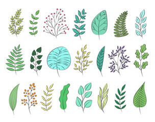 Collection of different vector colorful doodle style hand drawn leaves. Set of nature elements for designs, templates, wedding cards, invitations, greeting cards, posters, postcards.