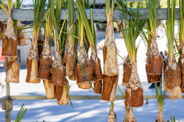 Fototapeta premium Hearts of palm palmetto hanging for sale at the festival of San Sebastian in Huelva, Andalucia, Spain