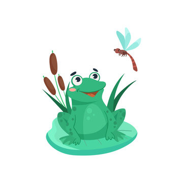 Comic frog looking at dragonfly and smiling vector illustration. Funny aquatic animal cartoon character sitting on lily leaf in swamp isolated on white background. Nature, wildlife concept