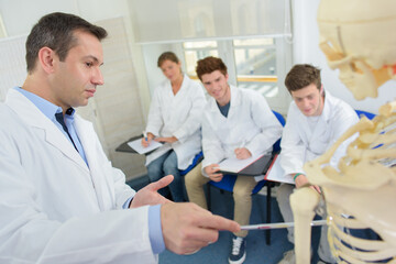 Obraz premium Doctor lecturing students, pointing to skeleton