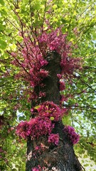 IMG_20220502_093726_DRO