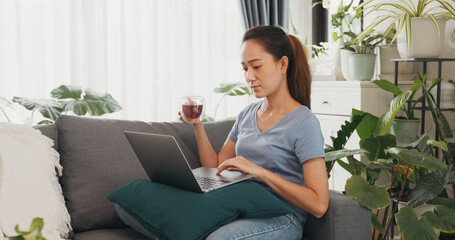 Young university Asian woman wear casual site on couch drink tea use laptop relax think the idea full of plants in living room indoor plants at home. Stay home online learning, Work from home concept.