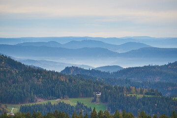black forest with fog between the hills