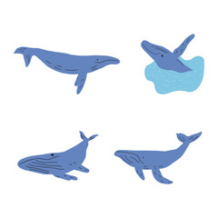 Whale, ocean animal. Sealife in Scandinavian style on a white background. Great for poster, card, apparel print. Vector illustration