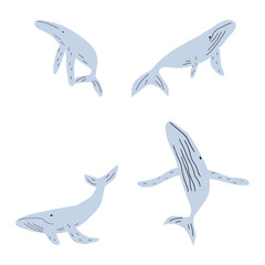 Whale, ocean animal. Sealife in Scandinavian style on a white background. Great for poster, card, apparel print. Vector illustration