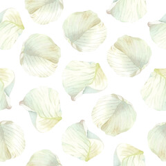 Seamless pattern of white rose petals. Watercolor botanical illustration. Isolated on a white background. Hand painting floral print in vintage style. For design of wrapping paper, wallpaper