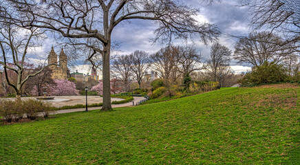 Central Park in spring