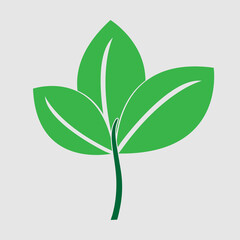 Leaf icon. Green natural leaf drawing. Ecology nature element vector icon