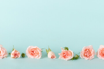 Roses in a row on a blue background with a space for text. Background for a nude Valentine's day. Flowers banner