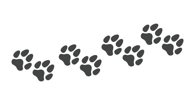 Paw print foot trail. Dog paw print. Dog paw silhouette. Vector