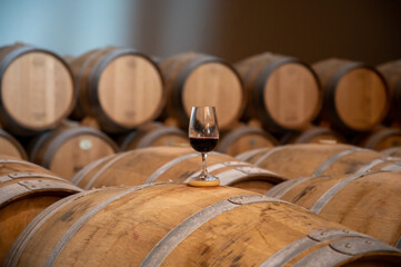 Tasting of rioja wines, visit of winery cellars with french or american oak barrels with agening...
