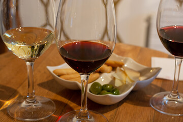 Tasting of different rioja wines, visit of winery cellars, Rioja wine making region, Spain