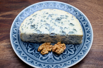 Cheese collection, piece of French blue cheese auvergne or fourme d'ambert