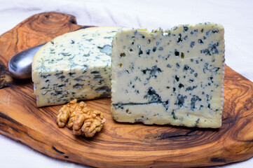Cheese collection, piece of French blue cheese auvergne and fourme d'ambert